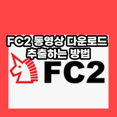 FC2 영상 다운로드